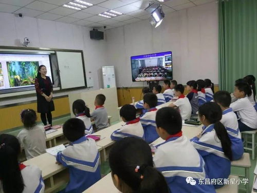 放飞想象，快乐共享 新星小学与大荣小学美术互动课堂纪实
